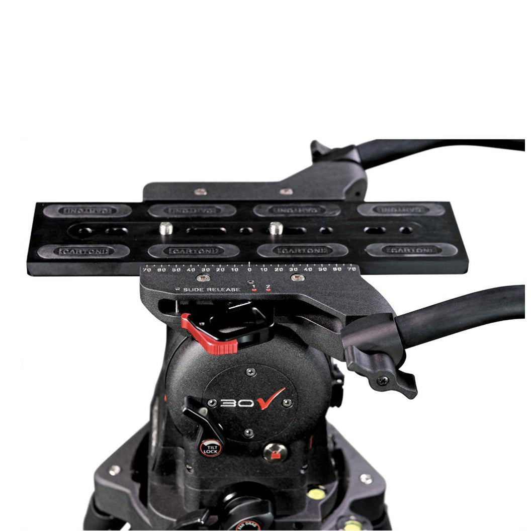 CARTONI MASTER 30 Fluid Video Head (Flat Mitchell) Tripod Head SHAPE wlb