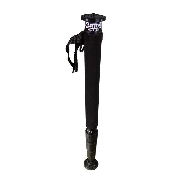 CARTONI Monopod CF 4-St Monopod SHAPE wlb
